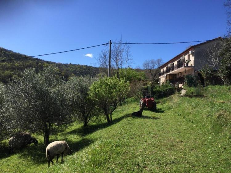 Salara Farmhouse كوبر المظهر الخارجي الصورة